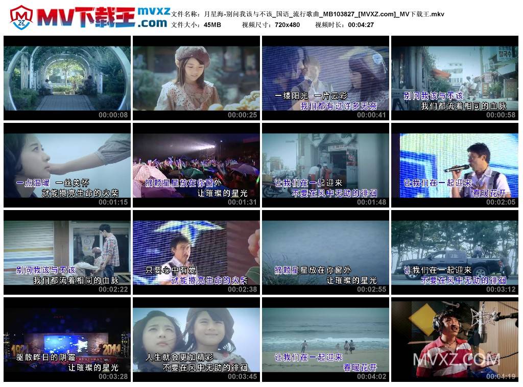 月星海-别问我该与不该_国语_流行歌曲_MB103827